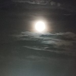 Meet your Posher, Tim